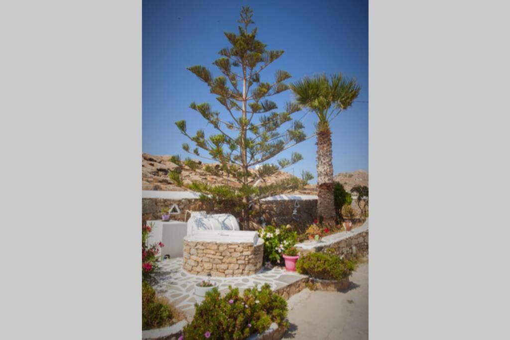 White Dreams Studio Mykonos Town Exteriér fotografie